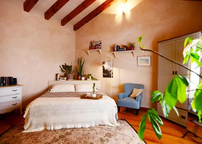 Olimpia Villaverde (Fuerteventura)