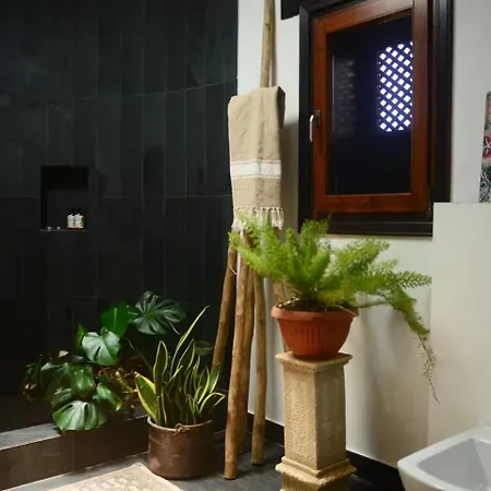 Olimpia Villaverde (Fuerteventura)