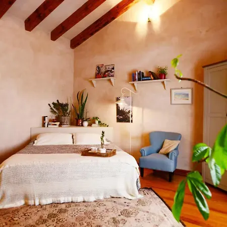 Olimpia Villaverde (Fuerteventura)