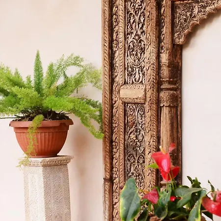 Olimpia Villaverde (Fuerteventura)