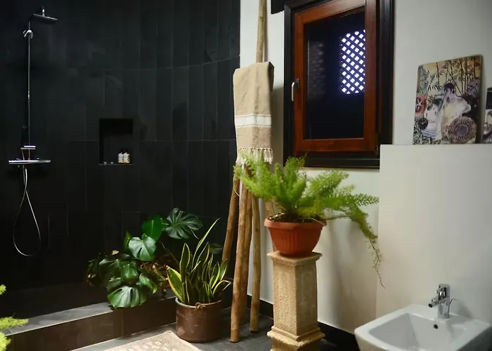 Olimpia Villaverde (Fuerteventura)