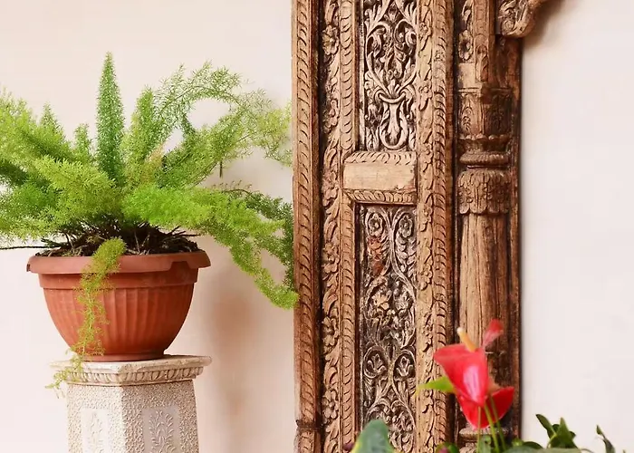 Olimpia Villaverde (Fuerteventura)